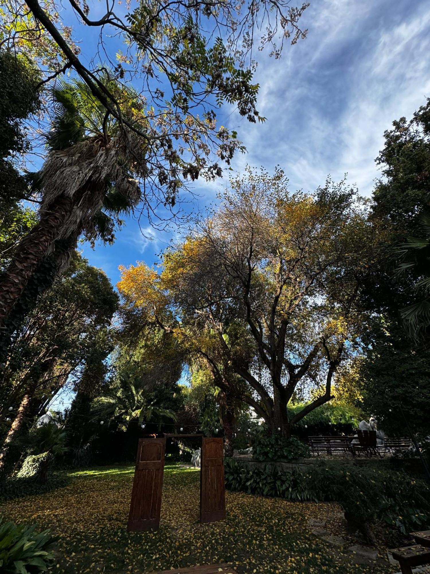 The Palms Venue & Accommodation Cradock Dış mekan fotoğraf